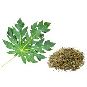 Premium Dried Male Papaya Flower Grade a Extract EXPAD Brand Vietnam <b>12</b>-Month Shelf Life at Wholesale Prices for Healthcare Use - Product Image 1