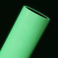 I-solvant imprimable-1 pièce, en vinyle, photo-luminescent, lueur dans la peau foncée, transfert de chaleur, rouleaux de vinyle