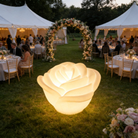Lanterne rose lumineuse, décoration de bar, lampe de table de club, lampes de nuit colorées RGBW, motif de rose illuminé, lumière