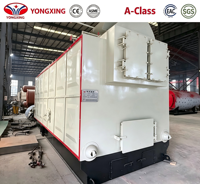 Chaudière à vapeur à combustible solide basse pression série DZH Yongxing, chaudière industrielle à capacité personnalisée