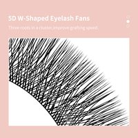 DIYDAY Factory Direct 5D Volume Bande Invisible Faux Cils
