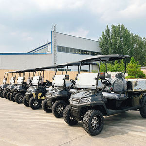 Voitures électriques vintage classiques pour le tourisme, les meilleures voitures de golf électriques - Product Image 6