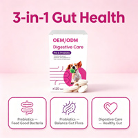 Complément alimentaire pour animaux de compagnie, comprimés pour le soin des articulations, chiens, chats, haute teneur en protéines, OEM/ODM, glucosamine, MSM, extrait de curcuma, absorption rapide, sain