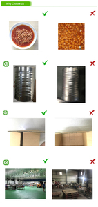 Frijoles rojos enlatados en salmuera Frijoles enlatados en salsa de tomate Fabricación por contrato y exportaciones de etiqueta privada - Product Image 5