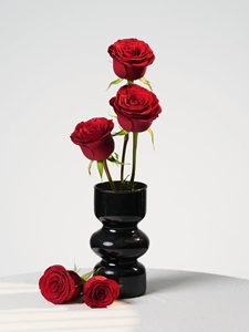 Konservierte Rosenköpfe Klasse A Anpassbare Farbe und Größe Großhandel Hersteller mit Designservice - Product Image 2