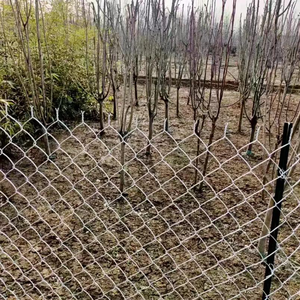 <span class=keywords><strong>PE</strong></span> tráng kim cương dây lưới chăn nuôi hàng rào-1.8m cao cho gia súc cừu trang trại bảo vệ, tùy chỉnh - Product Image 6