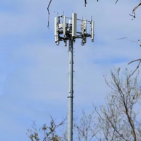 Fabricant de tours monopôles robustes pour stations de base mobiles et supports d'antennes