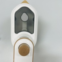Défroisseur Vapeur Portable pour Vêtements, Adapté au Repassage à Sec et à Vapeur, Défroisseur de Voyage pour Bagages, Utilisation Quotidienne en Déplacement