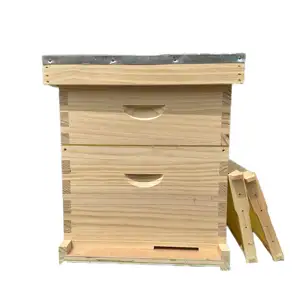 New Product One Piece Board Bee Hives Wooden Langstroth Beehive