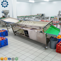 Fruit- en groentesorteermachine, producten-sizer, fruit sorteermachine