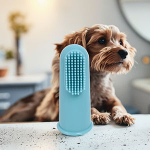 <span class=keywords><strong>Dentifrice</strong></span> <span class=keywords><strong>pour</strong></span> animaux de compagnie Fresh Friend, brosses à dents au bœuf - Product Image 3