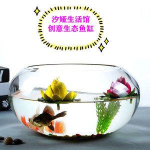 Petit aquarium en verre épais pour salon, transparent, adapté à un usage domestique, culture hydroponique de lotus, bureau - Product Image 4