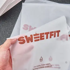 의류 포장을위한 지퍼 포장 파우치 지퍼와 사용자 정의 인쇄 투명 젖빛 플라스틱 지퍼 잠금 가방