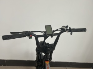 Vélo à pneus larges de 20 pouces, design personnalisé, moteur à disque mécanique 250W/48V/12Ah - Product Image 6