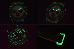 Estuche de Fibra de Carbono con Brillo Nocturno, Edición Personalizada - Apto para Uso Casual y de Negocios, Relojes Premium de Alta Gama - Product Image 5