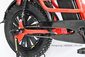 HongLong 800W/1000W 30Ah V8Pro vélo électrique Monaco Monstr 16 pouces gros pneu urbain Grand Plus électronique livraison à domicile E vélo - Product Image 5