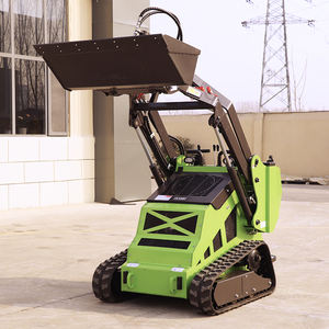 Minicargadora Compacta 560 con Motor Diésel Euro5, Multiusos, para Construcción y Trabajo Agrícola - Product Image 1