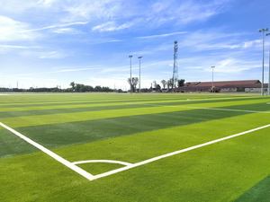 <span class=keywords><strong>Gazon</strong></span> artificiel à faible entretien sans remplissage pour terrains de football scolaires et communautaires |   <span class=keywords><strong>Gazon</strong></span> synthétique de performance sans remplissage en caoutchouc - Product Image 3