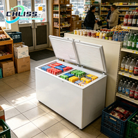 258L Taşınabilir Güneş Enerjili Buzdolabı 12/24V AC DC Güneş Enerjili Dondurucu Kalınlaştırılmış Köpük Sıcak İklimlere Dayanıklı Soğutma