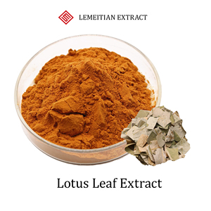 Lotusbladextract |   Nelumbine 1% tot 98% |   Totale Flavonoïden 10% tot 90% |   Natuurlijk gewichtsbeheersing |   Aanpasbaar bulkpoeder - Product Image 1