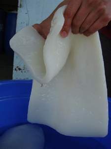 MATÉRIAU NATA DE COCO CRU/GELÉE DE NOIX DE COCO CRUE DE HAUTE QUALITÉ pour EXPORTATION/Mme Lily - Product Image 6