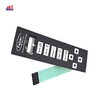 Panneau de membrane tactile de clavier de membrane d'indicateur de pesage électronique de ZHONGSHAN