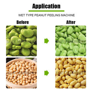 Pelador de capa roja de maní automático, máquina peladora de maní crudo de tipo húmedo, <span class=keywords><strong>precio</strong></span> - Product Image 2