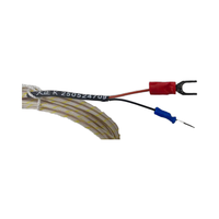 Sensor Suhu RTD Pt100 Terintegrasi Duchin WZPD-L*W-1000 dengan Rating IP65, Komunikasi Port Serial, Bersertifikasi OEM CE untuk Motor