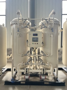 KS Certificado Fornecedor Chinês Preço Competitivo 80Nm3/h Planta de Oxigênio Médico PSA 93 +-2% Eficiência Motor Personalizado Industrial - Product Image 4