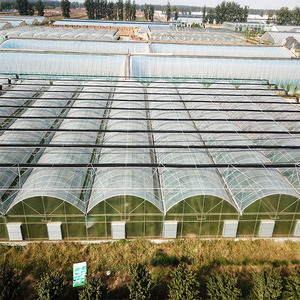 Film PE multi-rentang rumah kaca sayur-SKYPLANT Sp-M-8, diproduksi Jiangsu, pertanian taman, tahan angin - Product Image 3