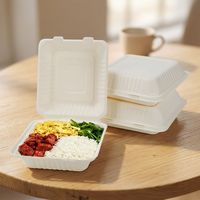 Contenitore per Pranzo in Bagassa da 9 Pollici, 100% Compostabile e Biodegradabile, per Asporto, Campeggio, Ristoranti e Catering