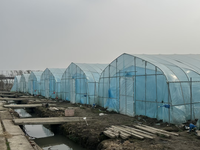 Serre tunnel de haute qualité, serre en plastique agricole personnalisée