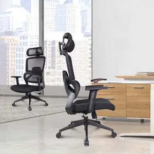 Nieuw Product Veelzijdigheid Zwart Mesh Bureaustoelen Luxe Moderne Computer Ergonomische Bureaustoel Met Lendensteun