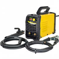 Machine à souder portable à onduleur MMA 400A, design léger et portatif pour la soudure domestique, tension 220V avec technologie IGBT