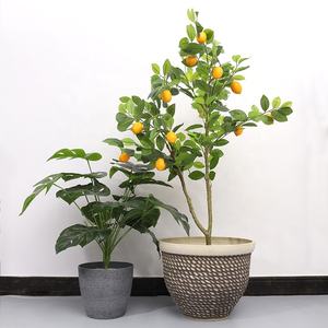 8 Styles Produits En Gros Maceta Tendance Grand Jardin Rond Extérieur Intérieur Maison Jardin Décor Ornement Fleur Bonsaï Plante Pot - Product Image 2