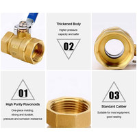Katup Bola Perunggu 3/4 Inci Produsen Cina untuk Kontrol Air Exlon Hydraulic Power OEM Dapat Disesuaikan Ulir Luar