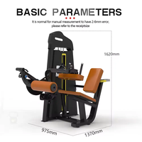 Offre Spéciale : Machine d'Extension et de Flexion des Jambes en Acier Gris pour la Musculation en Salle de Sport – Machine Assise pour Bras et Jambes