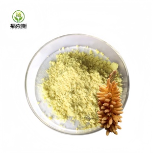 도매 하이 퀄리티 소나무 꽃가루 분말 보충제 1kg 천연 소나무 꽃가루 분말 - Product Image 3