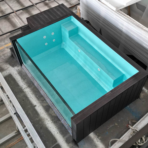 Piscina de Lujo de 20 pies (30 pies) en Contenedor, con Jardín, Ventana Grande de Vidrio, Spa de Acrílico Transparente, Piscina de Fibra de Vidrio y Madera - Product Image 5