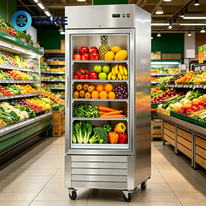 Réfrigérateur vertical à porte vitrée silencieuse avec compresseur à faible bruit, idéal <span class=keywords><strong>pour</strong></span> les zones de service en face de la clientèle dans les magasins. - Product Image 5