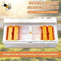 Ruche portable en mousse EPS à 4 cadres pour abeilles reines, mini-ruche de reproduction pour 500-1000 abeilles, idéale pour la propagation des abeilles au printemps et en automne