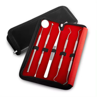 Kit de soins dentaires professionnels outils d'hygiène bucco-dentaire comprenant miroir de nettoyage des dents grattoir à tartre sonde dentaire et pince à épiler