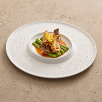 Assiette en céramique granulée gaufrée de luxe - Vaisselle en porcelaine de qualité hôtelière professionnelle pour la restauration fine