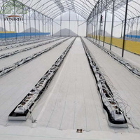Gouttière de culture souterraine PP Dutch pour la culture de tomates en serre