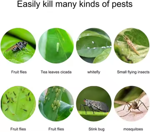 Piège à colle jaune double face résistant aux UV 25*30cm efficace pour les tiques, les fourmis, la lutte antiparasitaire contre les pièges solides - Product Image 5