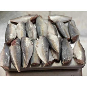 سمك الماكريل (السبيد) الكامل المجمد عالي الجودة للبيع، سمك لايانغ (السبيد) مجمد بحري - Product Image 4