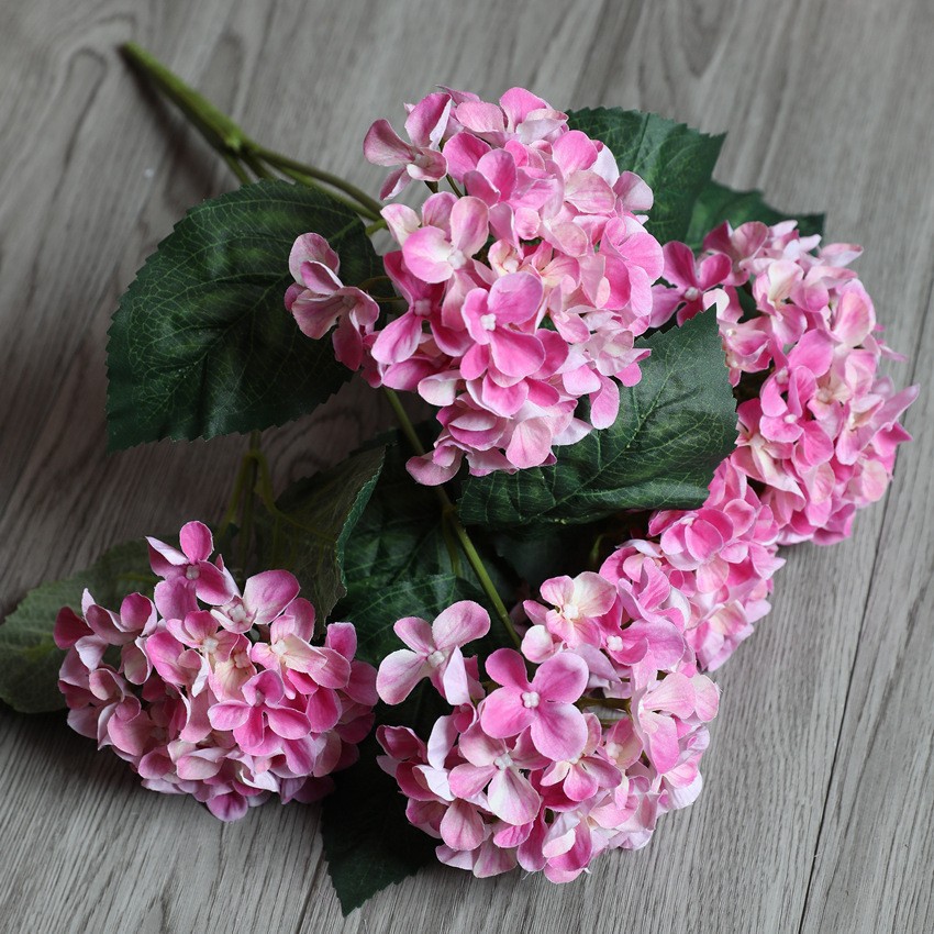 5rose foncé