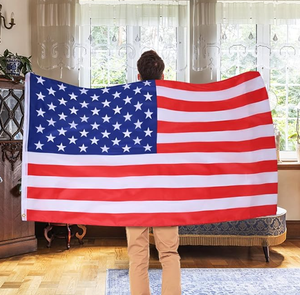 Drapeau personnalisé de Caroline du Sud (États-Unis) en polyester écologique pour affichage intérieur/extérieur avec œillets en laiton – Bannière design - Product Image 4