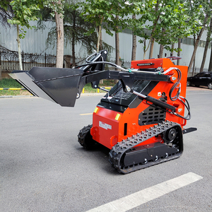 Chine Mini Skid Steer Loader Moteur Diesel Pompe Hydraulique 1 An de Garantie Triangle Crawler Haute Qualité Livraison Gratuite - Product Image 2