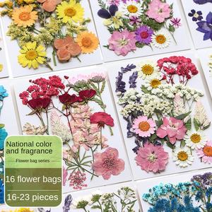 <span class=keywords><strong>Fleurs</strong></span> <span class=keywords><strong>séchées</strong></span> pour l'artisanat, <span class=keywords><strong>fleurs</strong></span> pressées en résine, <span class=keywords><strong>fleurs</strong></span> sauvages <span class=keywords><strong>séchées</strong></span> en vrac, feuilles naturelles avec pince - Product Image 2